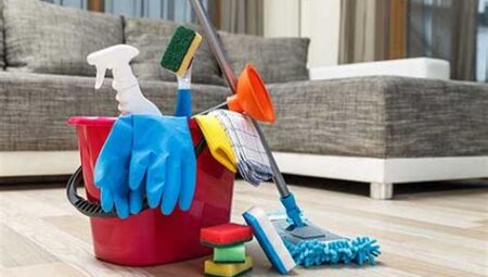 Ev Temizliği İçin Doğal Ve Etkili Yöntemler