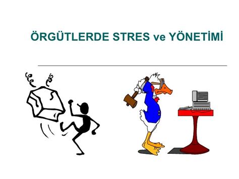 Stres Yönetimi ve Sağlık İlişkisi